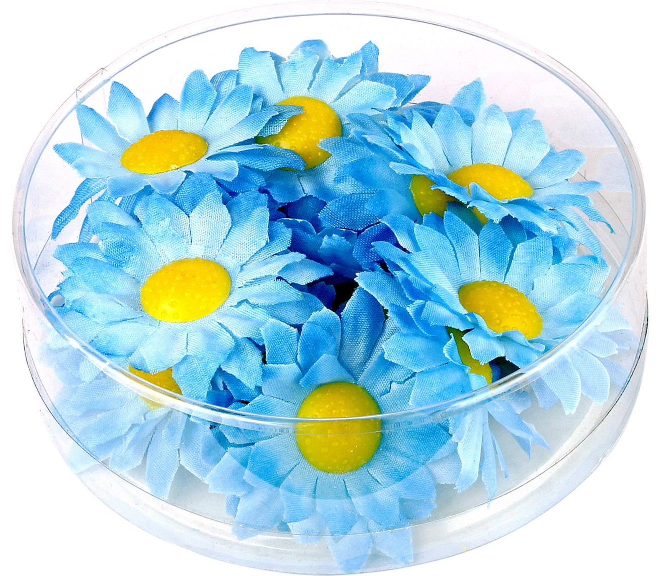 Margriet bloemen 20 stuks blauw