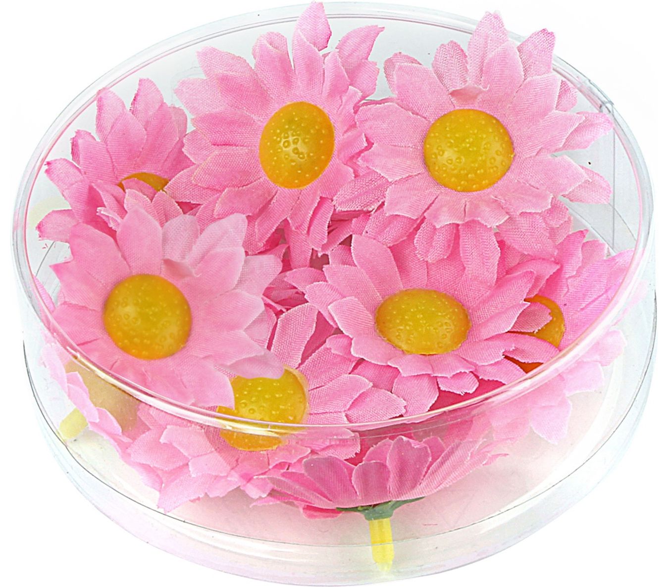 Margriet bloemen 20 stuks roze