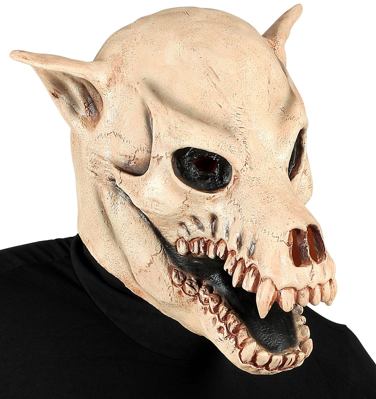 Masker honden schedel Halloween