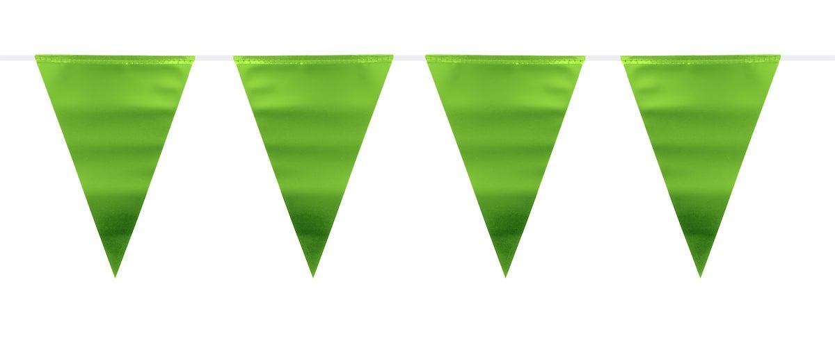 Metallic groene vlaggenlijn 6 meter