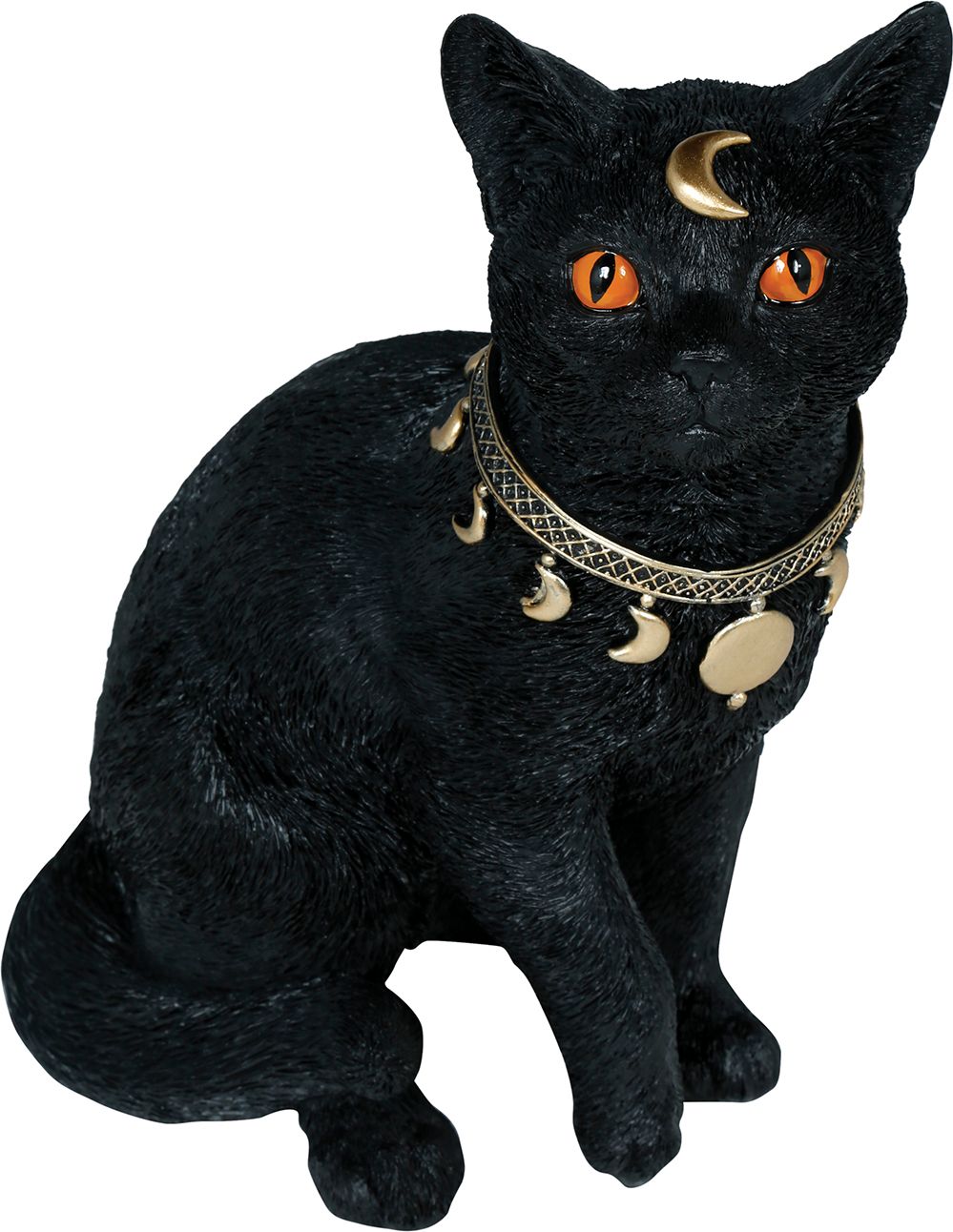 Mystieke Zwarte Kat Halloween