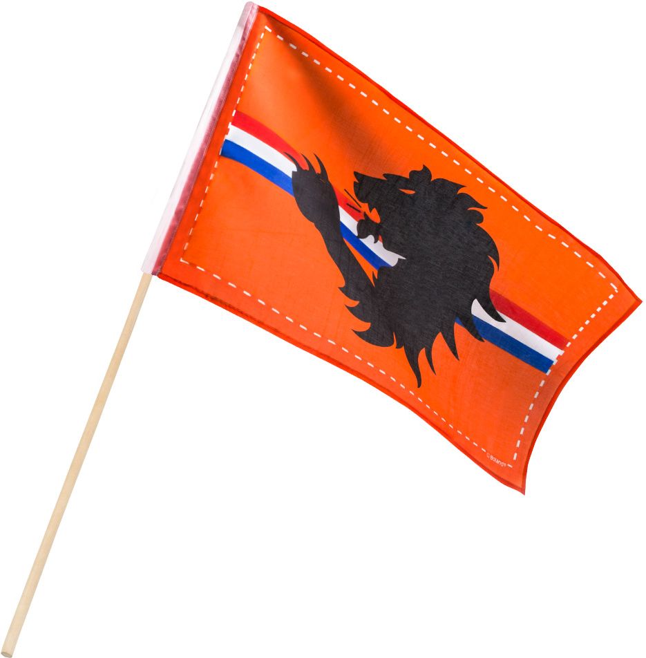 Nederland zwaaivlag met leeuw