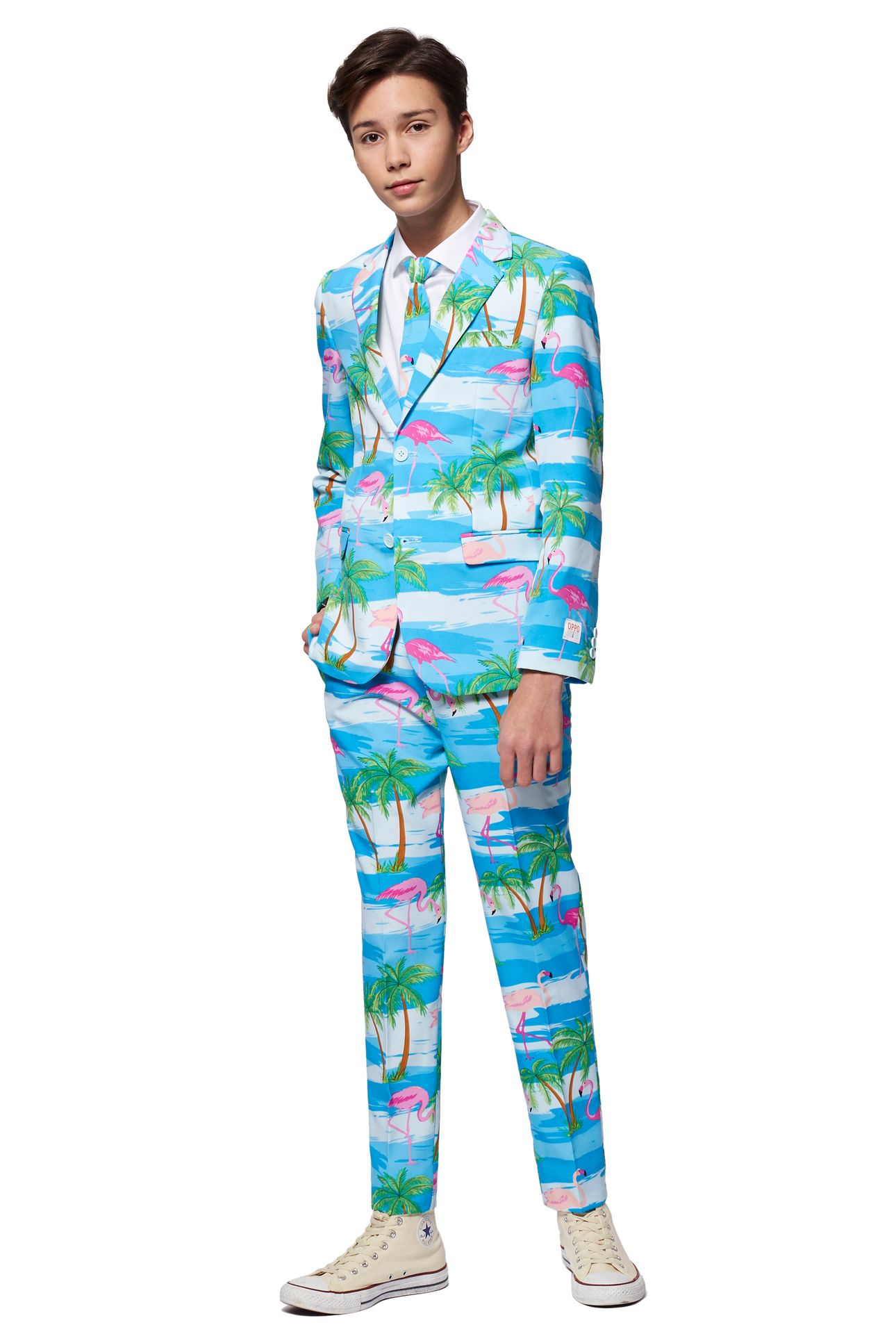 Opposuits Teen Boys Flaminguy pak