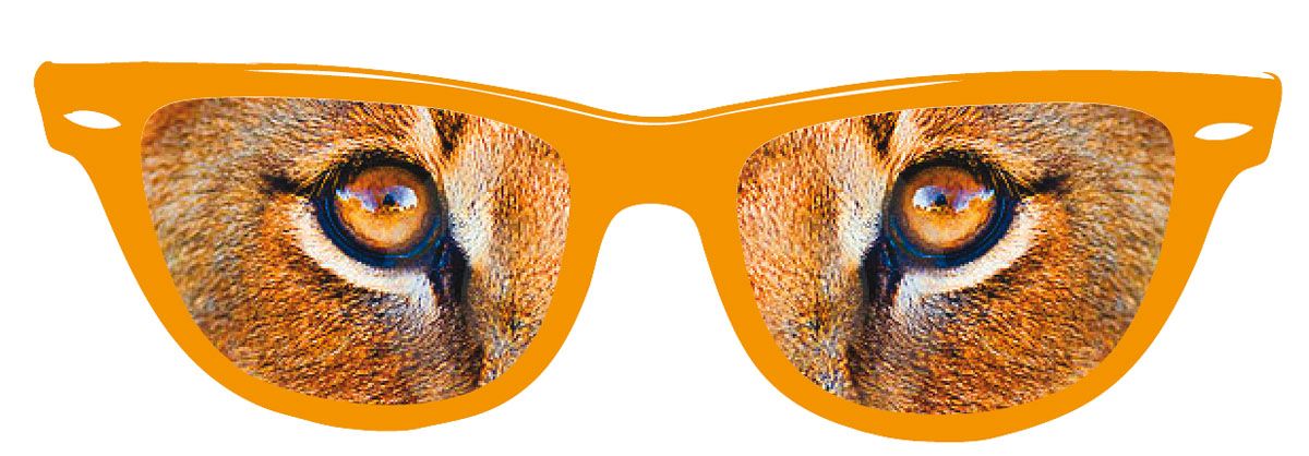 Oranje Leeuwenogen Bril