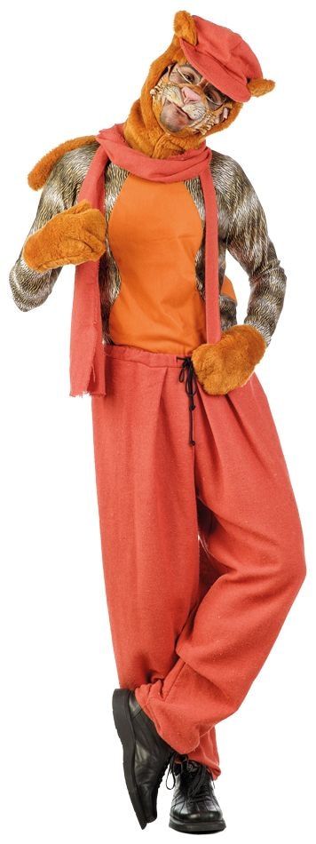 Oranje straatkat