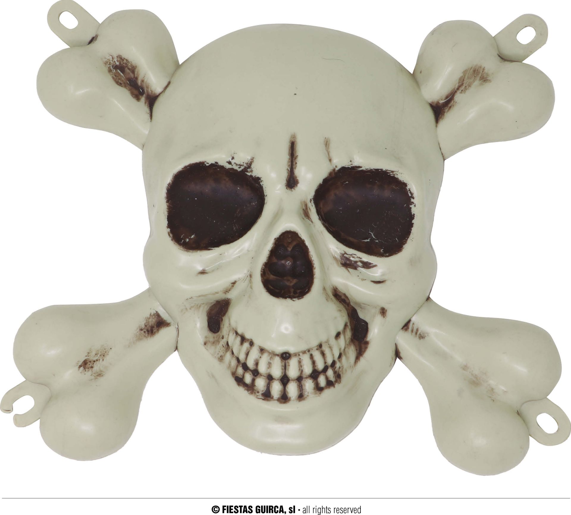 Piraten schedel met botten 25 x 30 cm halloween