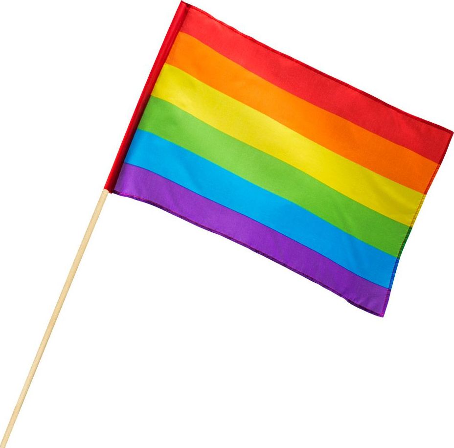 Pride regenboog thema zwaaivlag