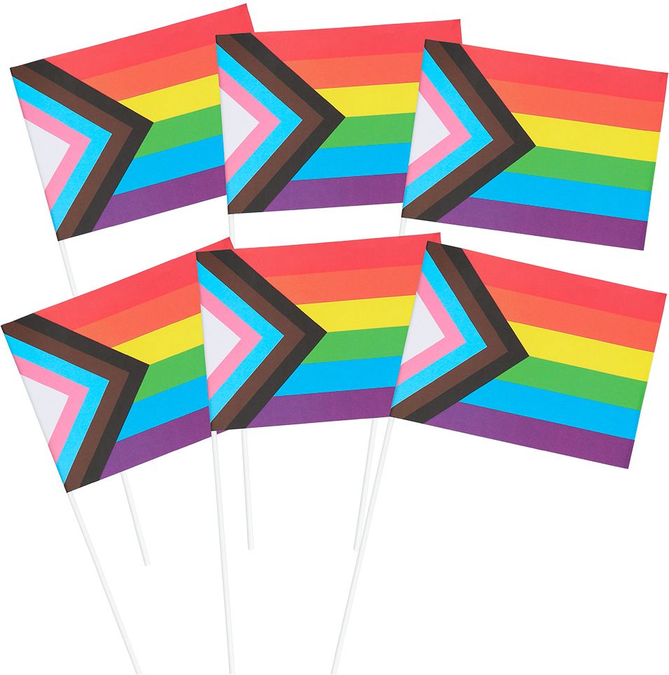 Progress regenboog papieren zwaaivlaggen 6 stuks