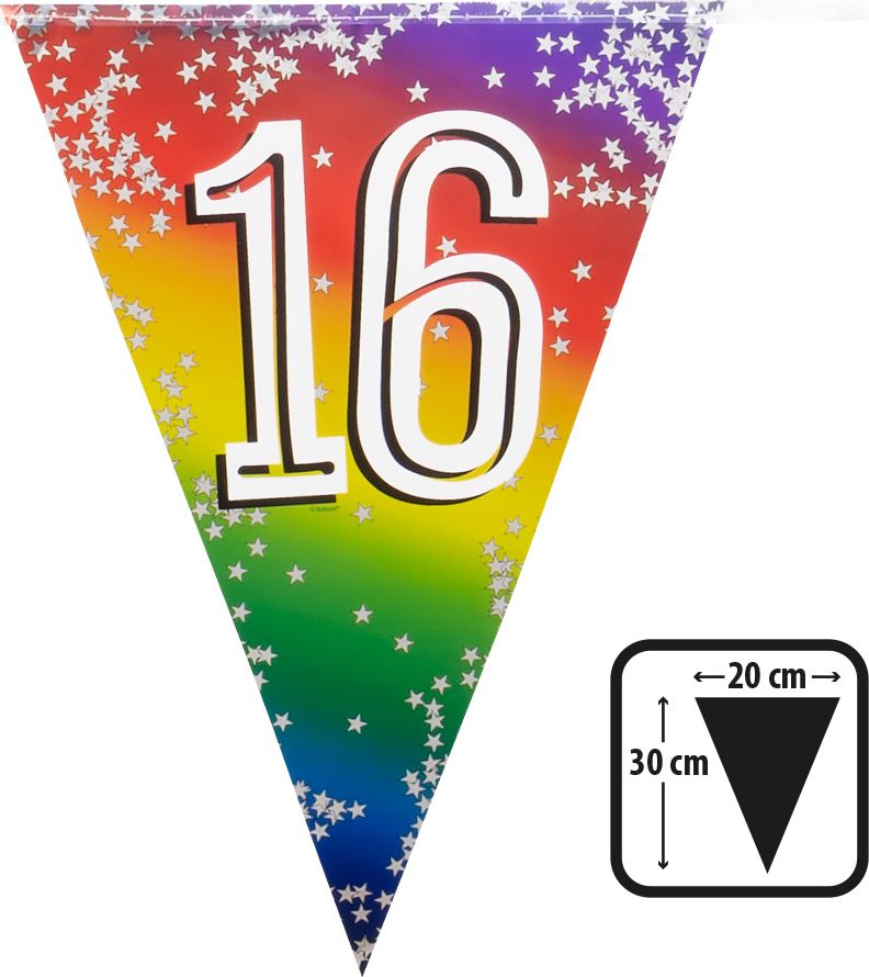 Rainbow vlaggenlijn verjaardag 16 jaar