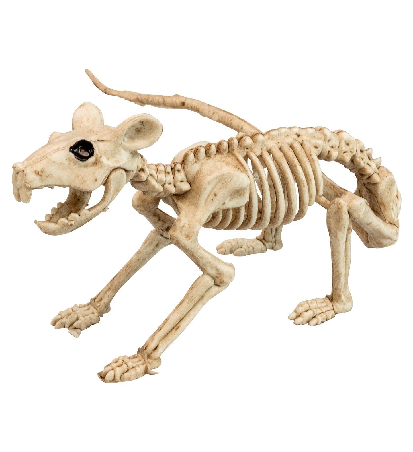 Rat Skelet Decoratie Figuur