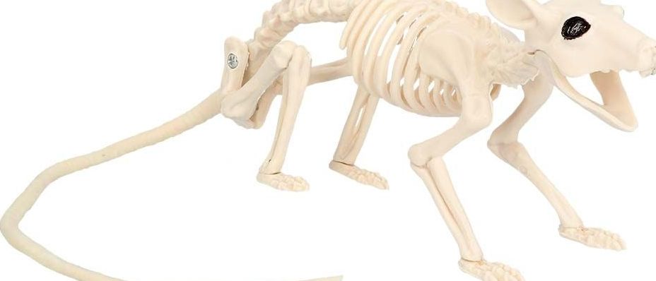 Rattenskelet Halloween Decoraties Standaard