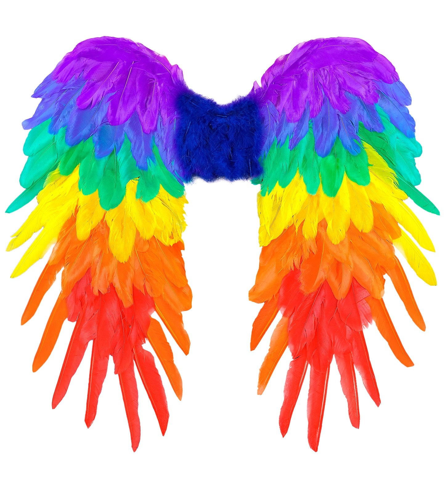 Regenboog Feeënvleugels Opvouwbaar