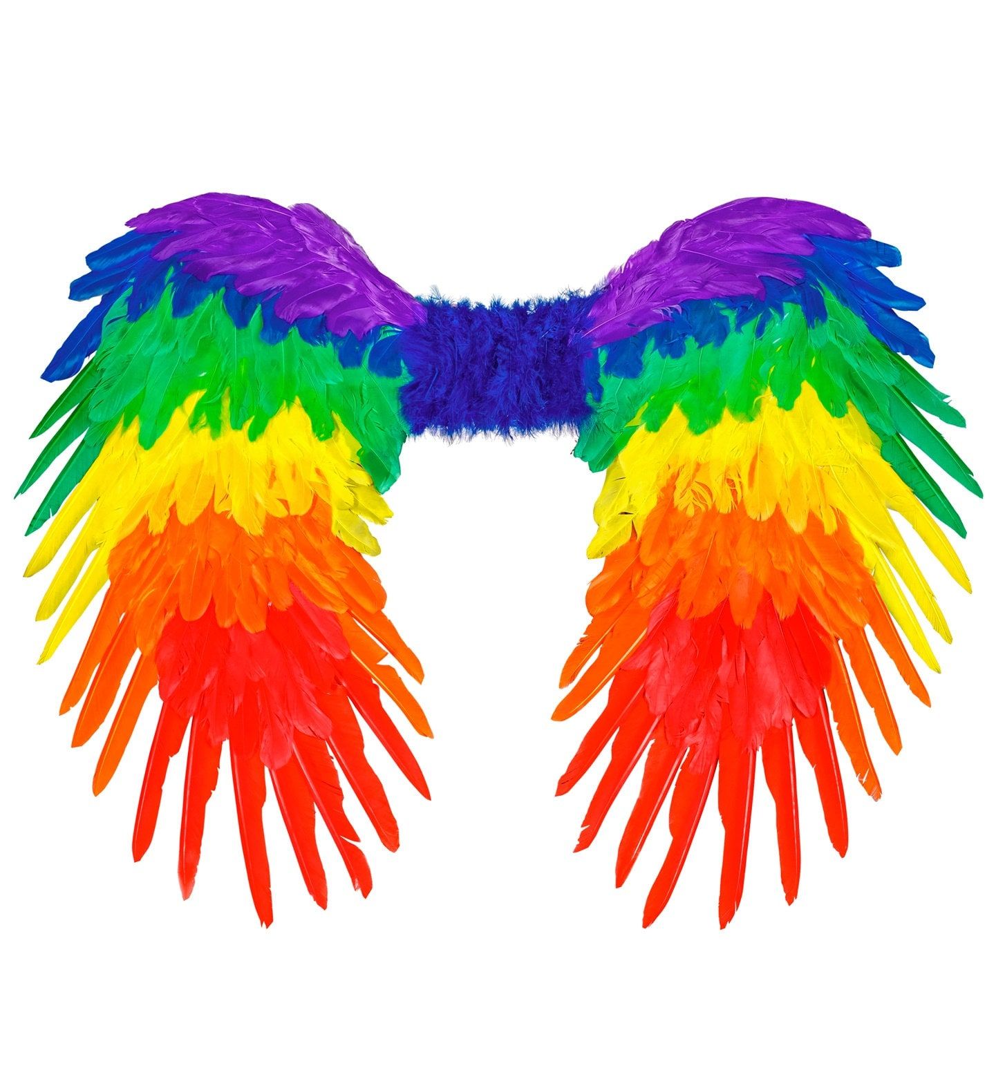 Regenboog Veren Vleugels Feest Dames Heren