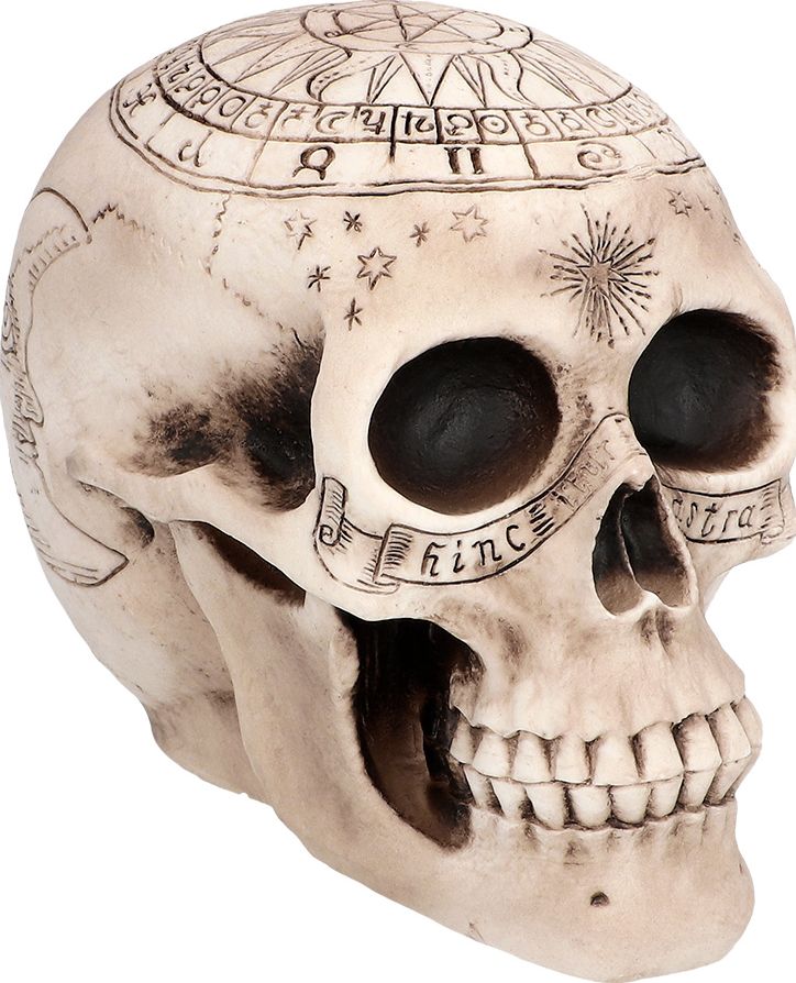 Schedel Astronomie Halloween Decoratie