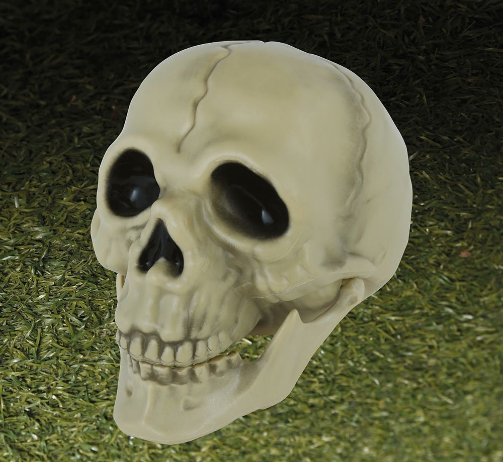 Schedel Hoofd Halloween Decoratie