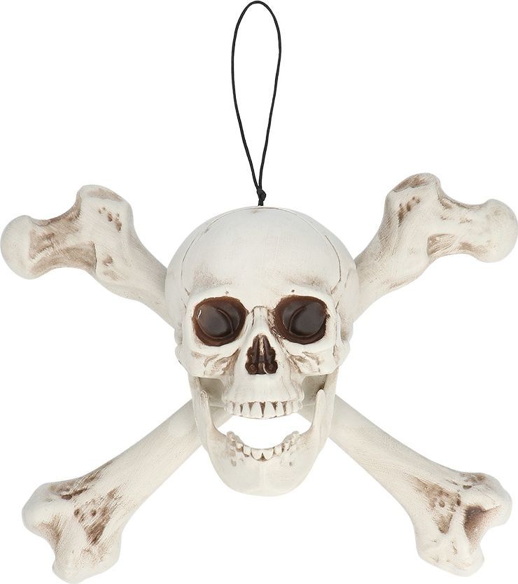 Schedel met Botten Halloween Hangdecoratie