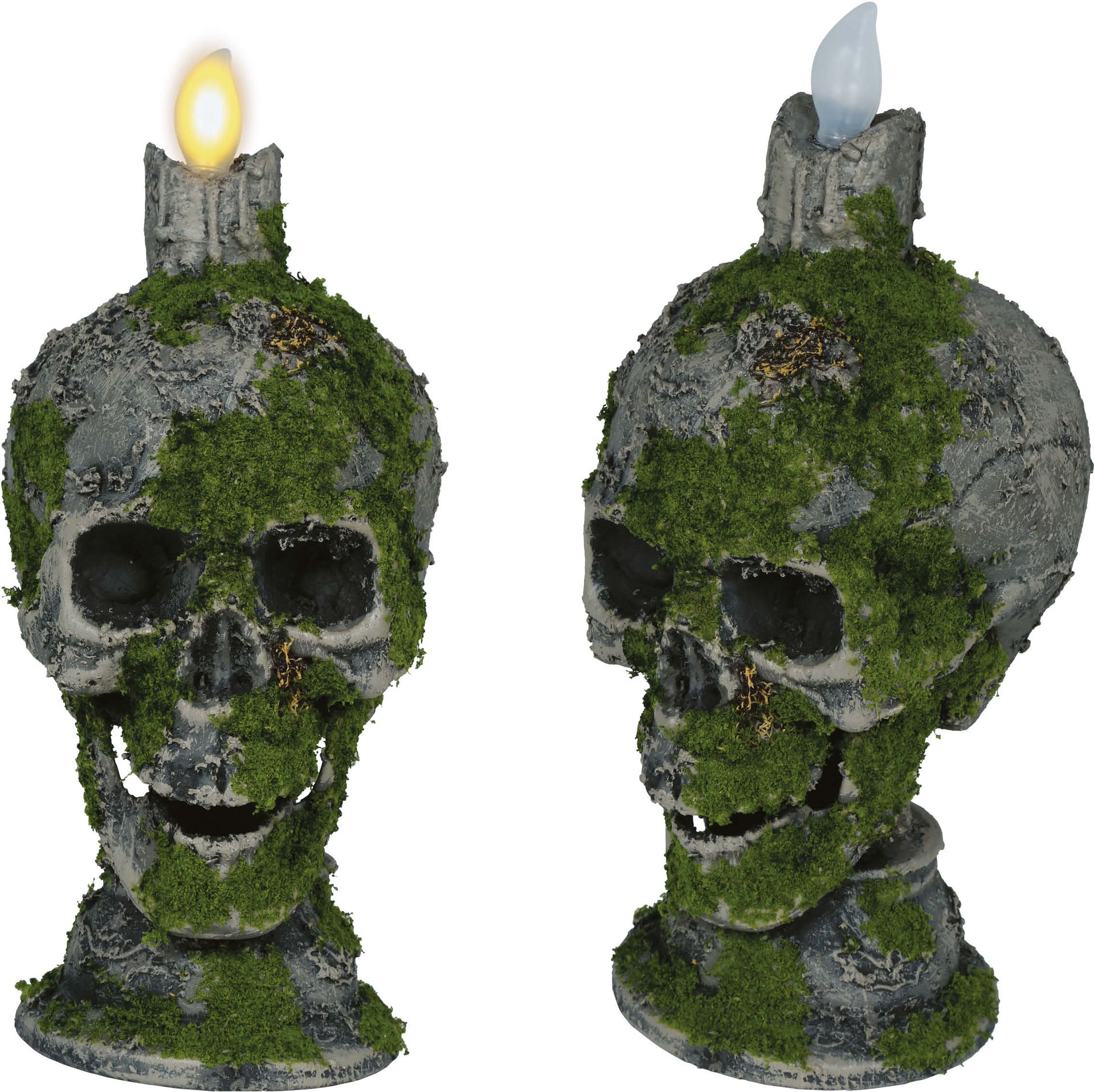Schedel met Kaars en Mos Decoratie