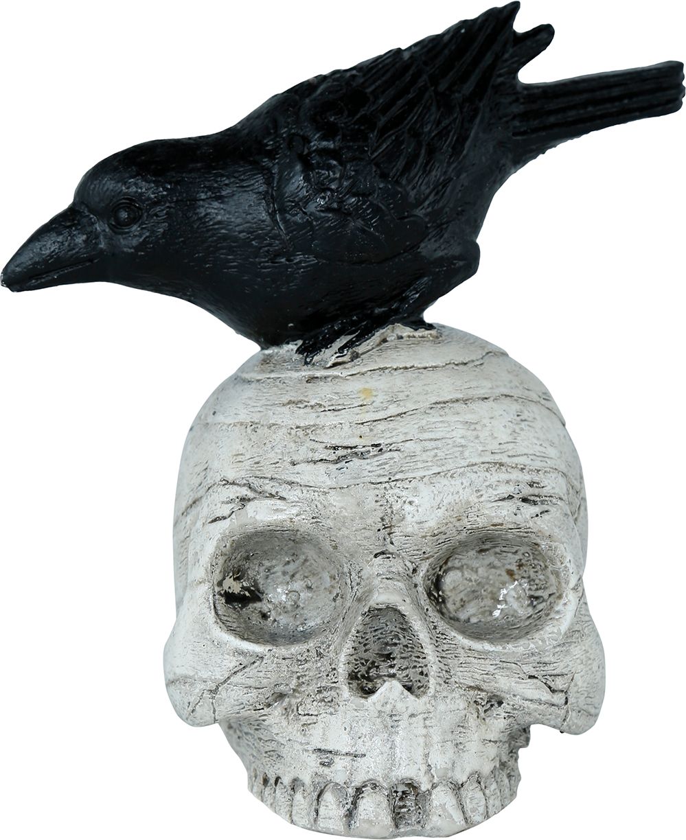 Schedel met Kraai Halloween
