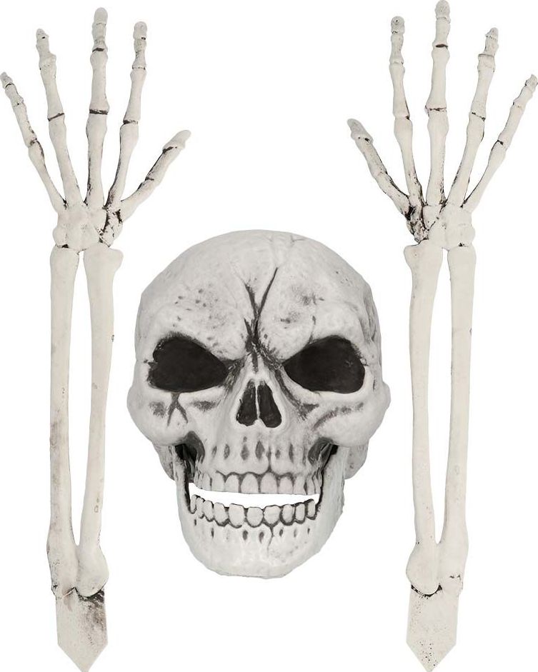 Set van Begraven Skeletten 3-delig