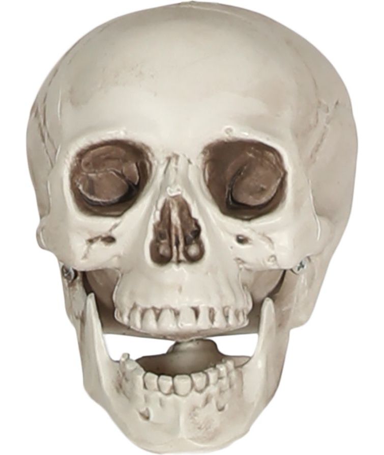 Skele Hoofd Halloween Decoratie