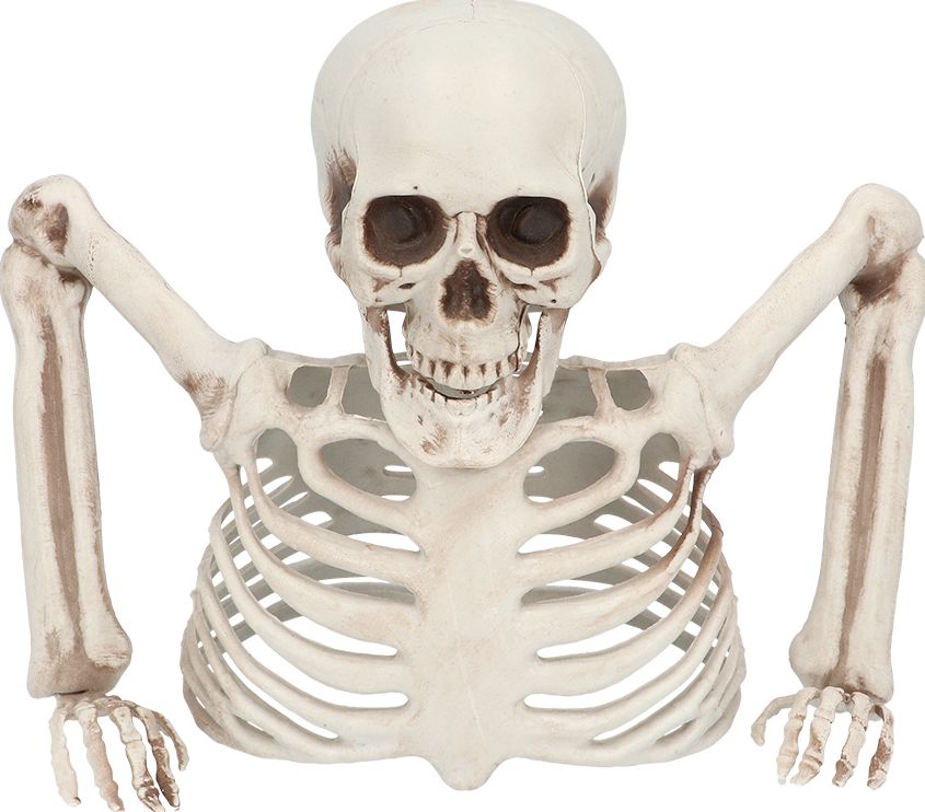 Skelet Groundbreaker Halloween Decoratie