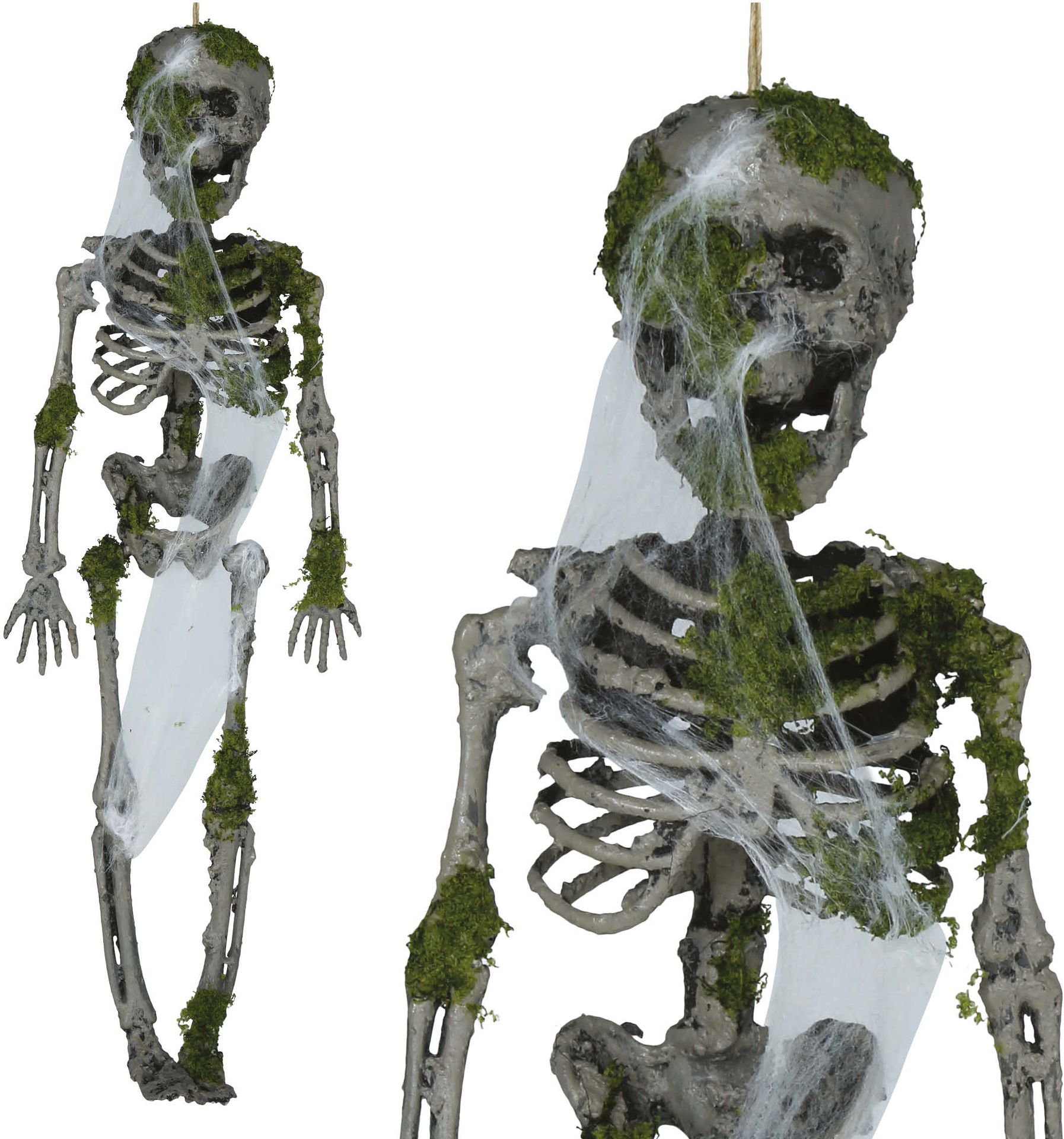 Skelet met Mos Decoratie