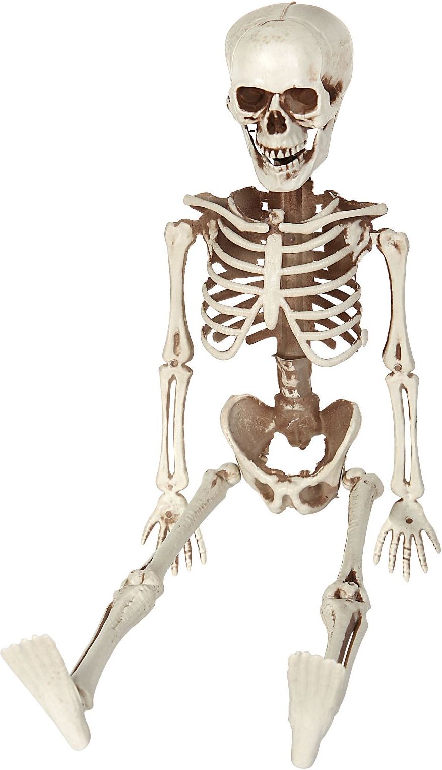 Skelet poseerbaar 40cm