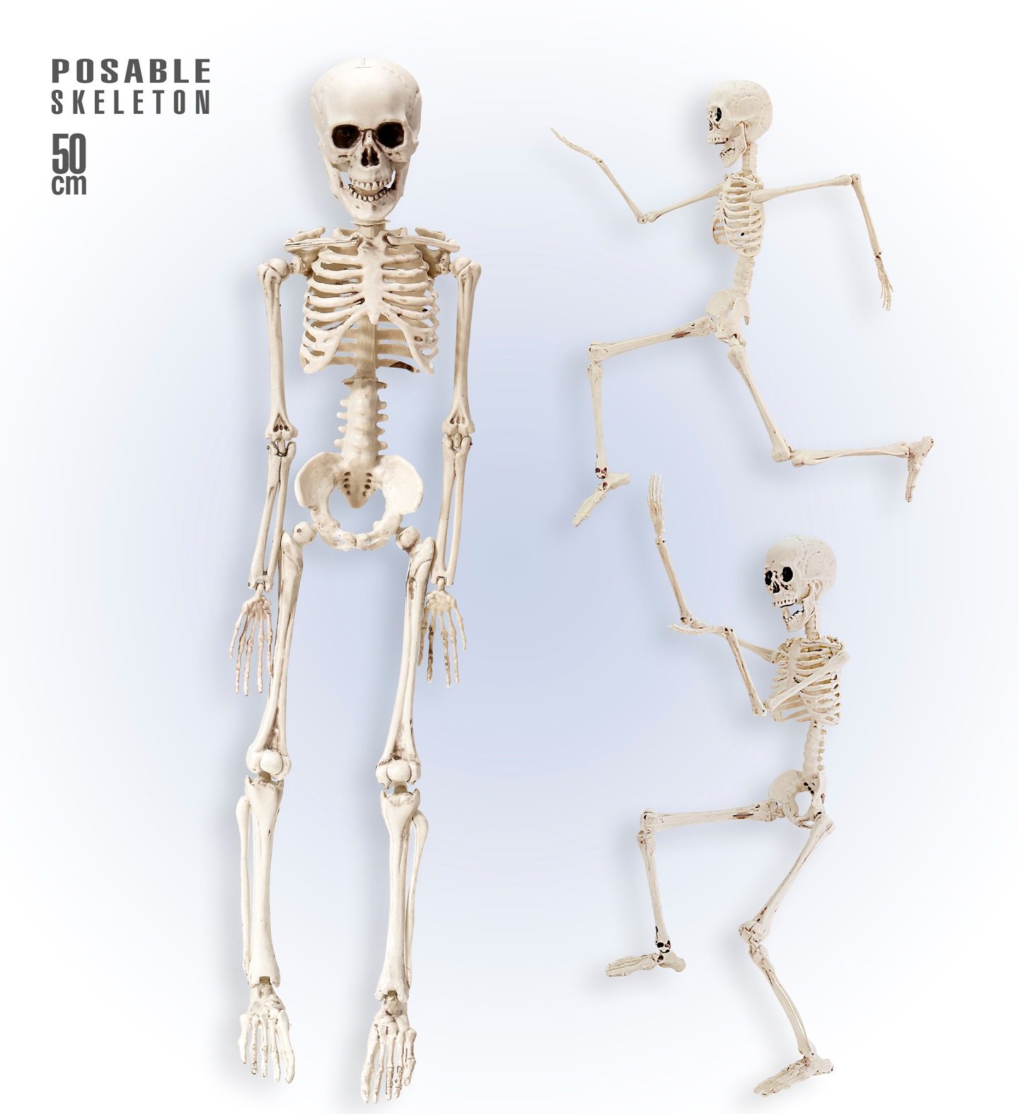 Skelet poseerbaar 50cm