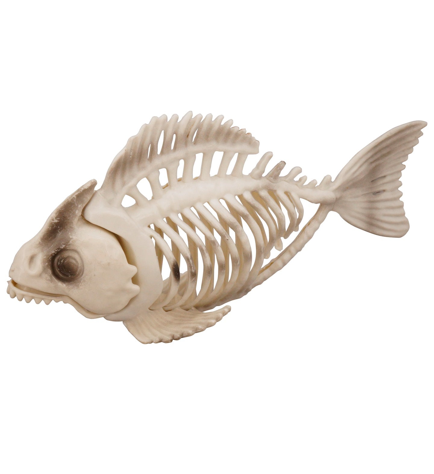 Skelet Vis Beeldje Halloween