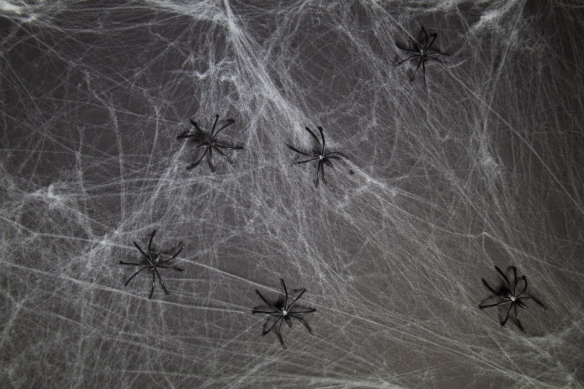 Spinnenweb halloween met 6 spinnen 100 gram