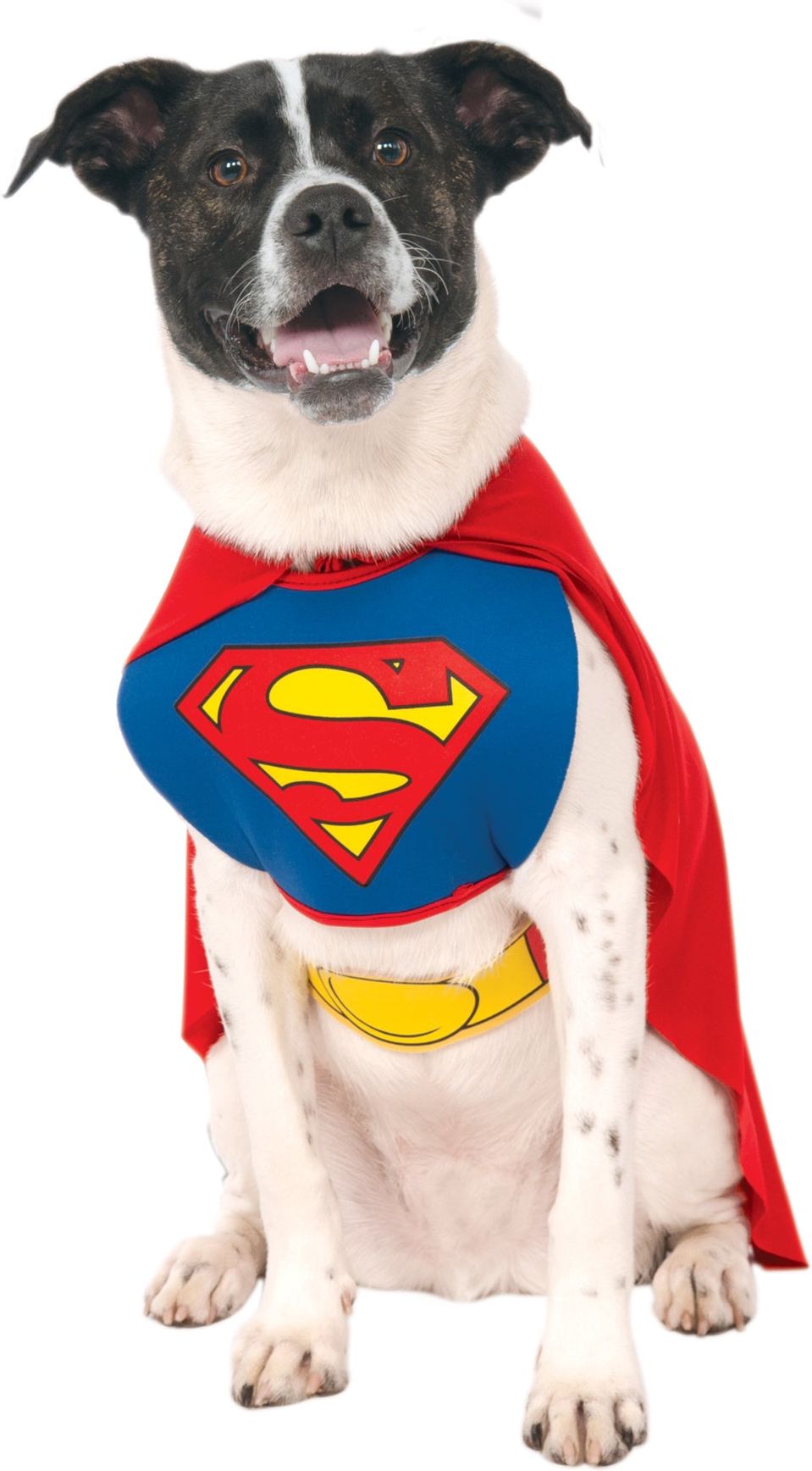 Superman Outfit voor Honden