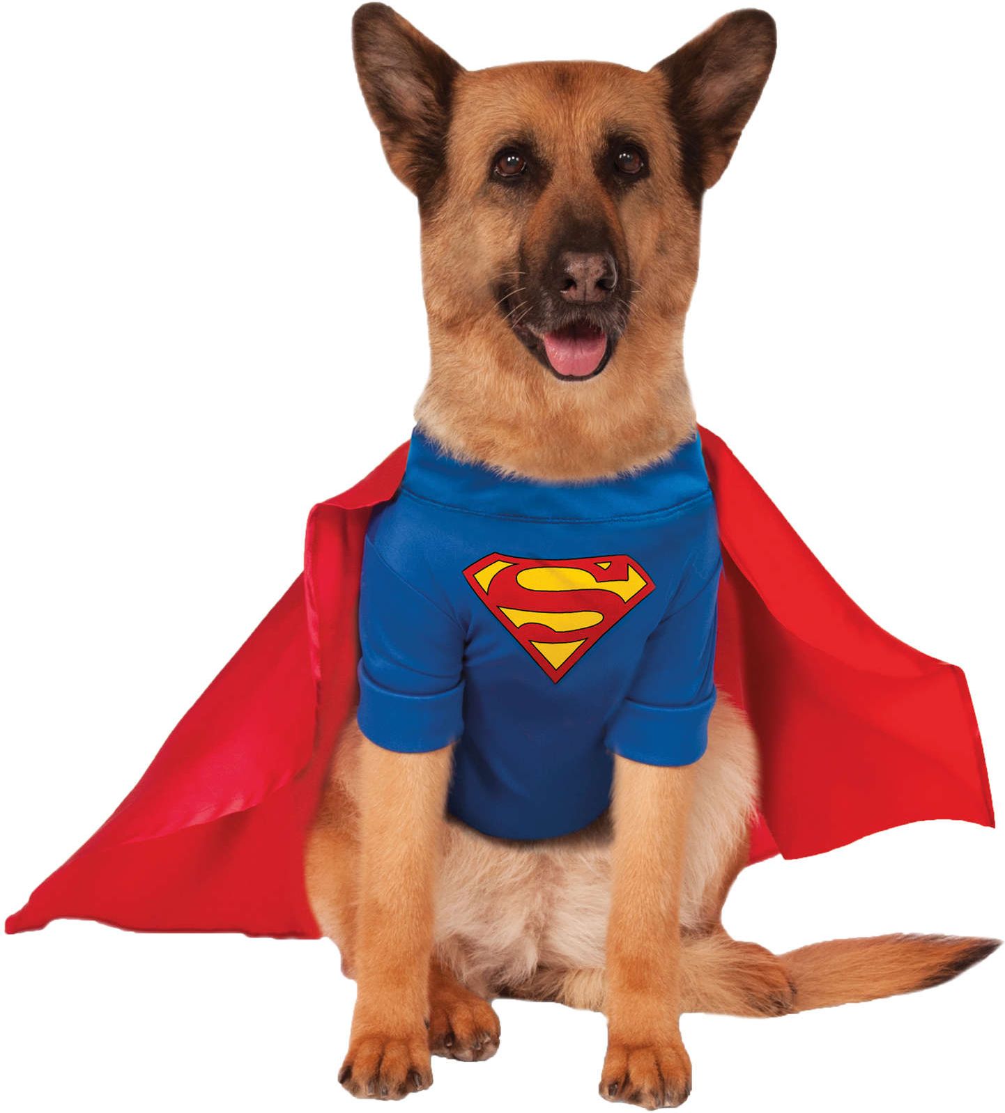 Superman Pakje voor Honden
