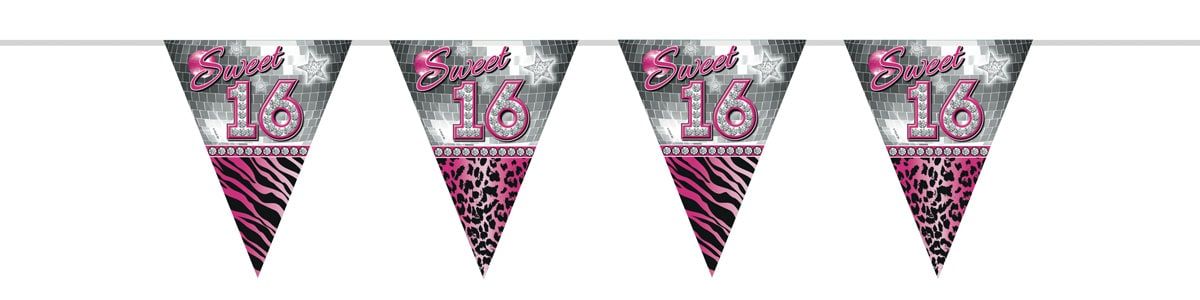 Sweet 16 verjaardag slinger 10 meter