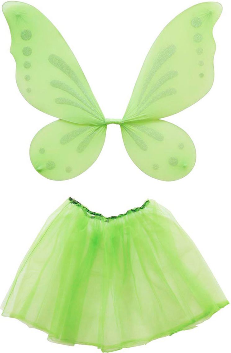 Tinkerbell tutu en vleugels