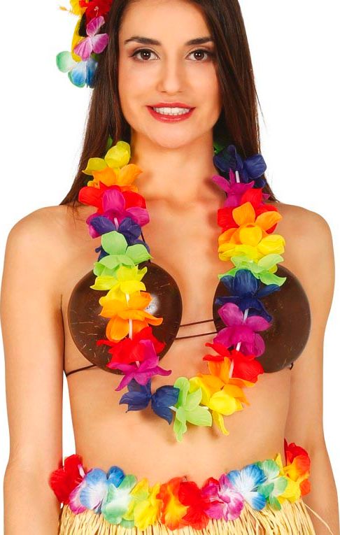 Traditionele Hawaii bloemenketting