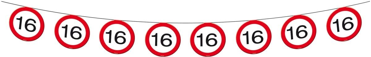 Verkeersbord 16 jaar vlaggenlijn 12 meter