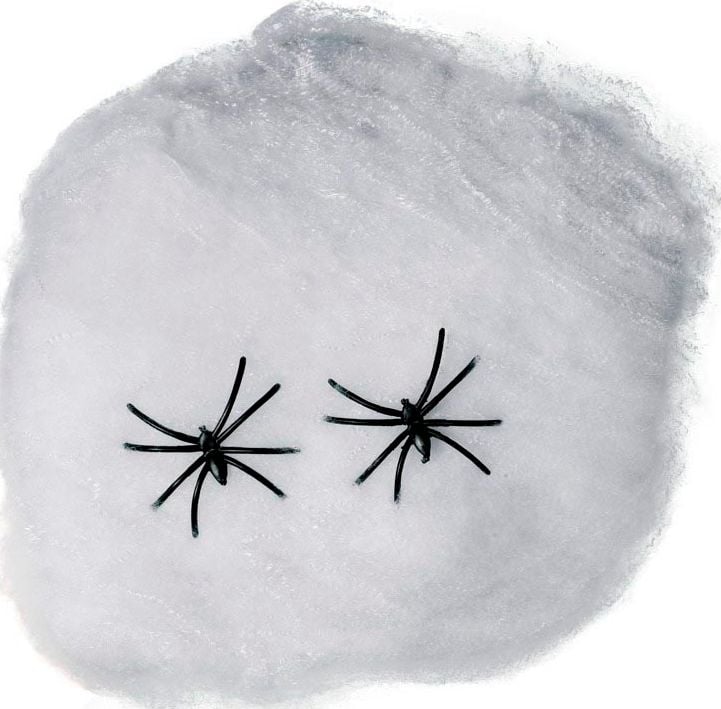 Wit spinnenweb decoratie 40gr