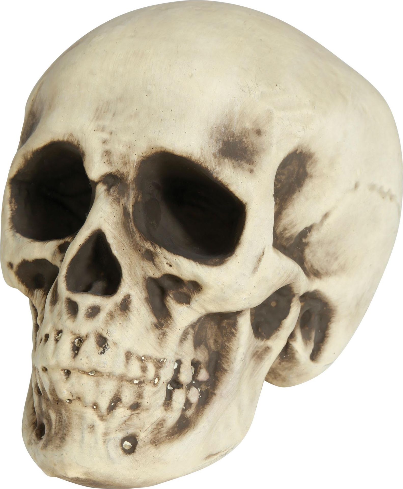 Witte schedel 20 cm halloween