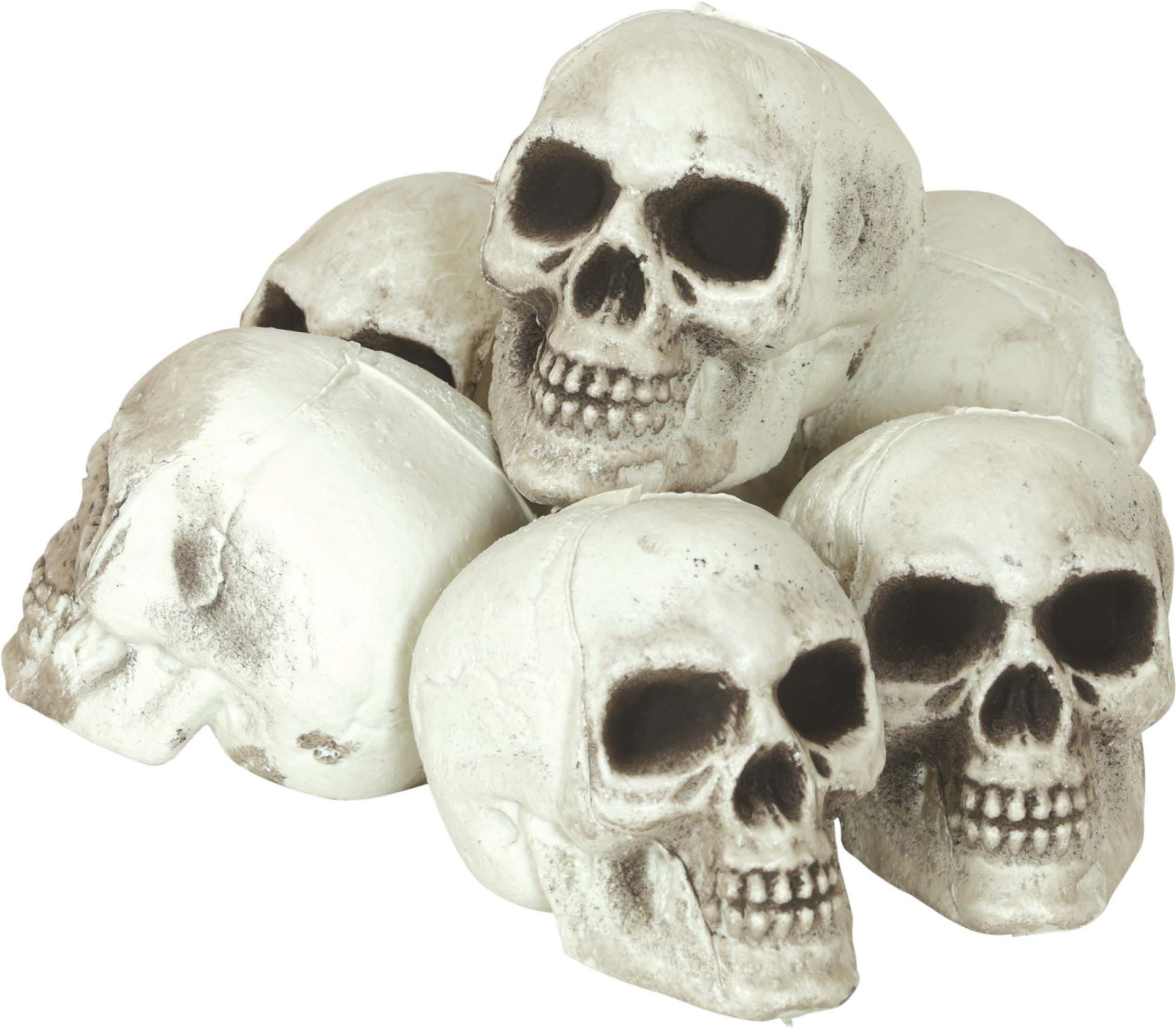 Witte Schedel Decoratie Set 6 Stuks