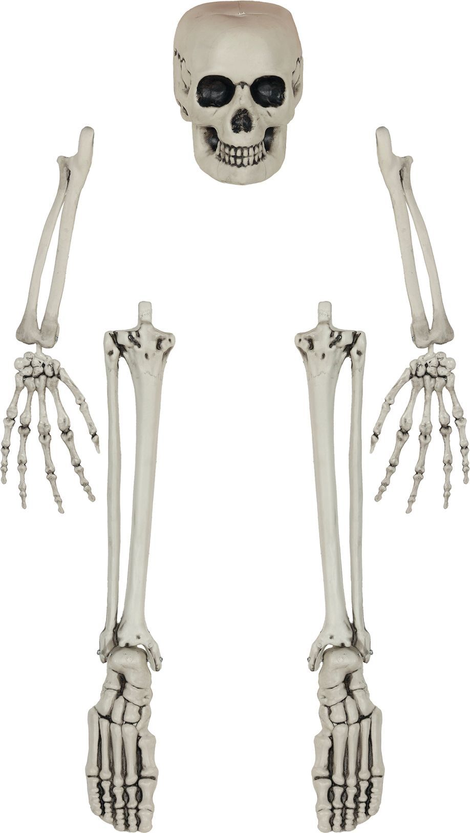 Witte Skelet Botten Decoratie Halloween