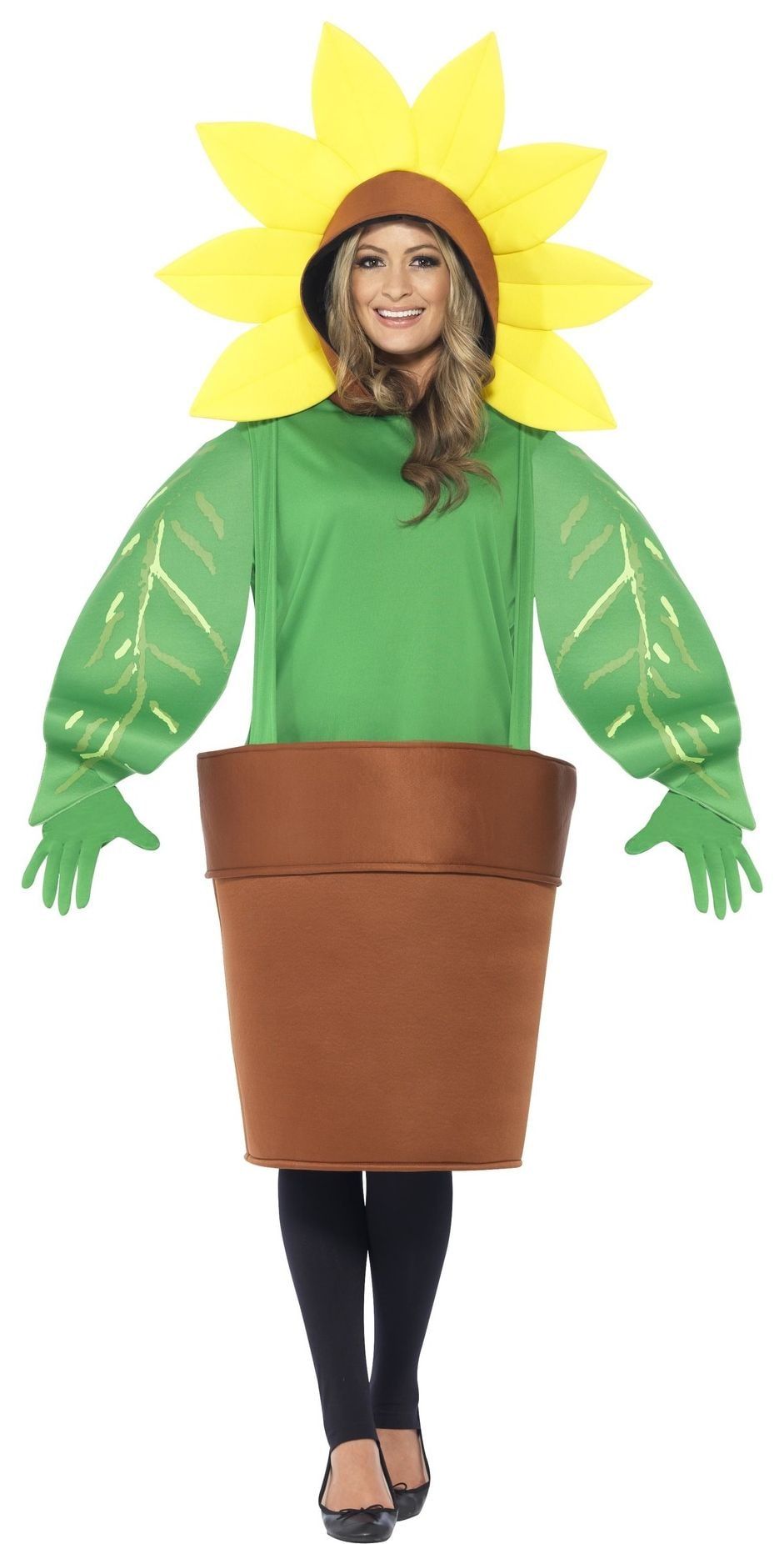 Zonnebloem in pot pak