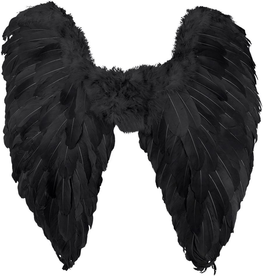 Zwarte engels vleugels van veren