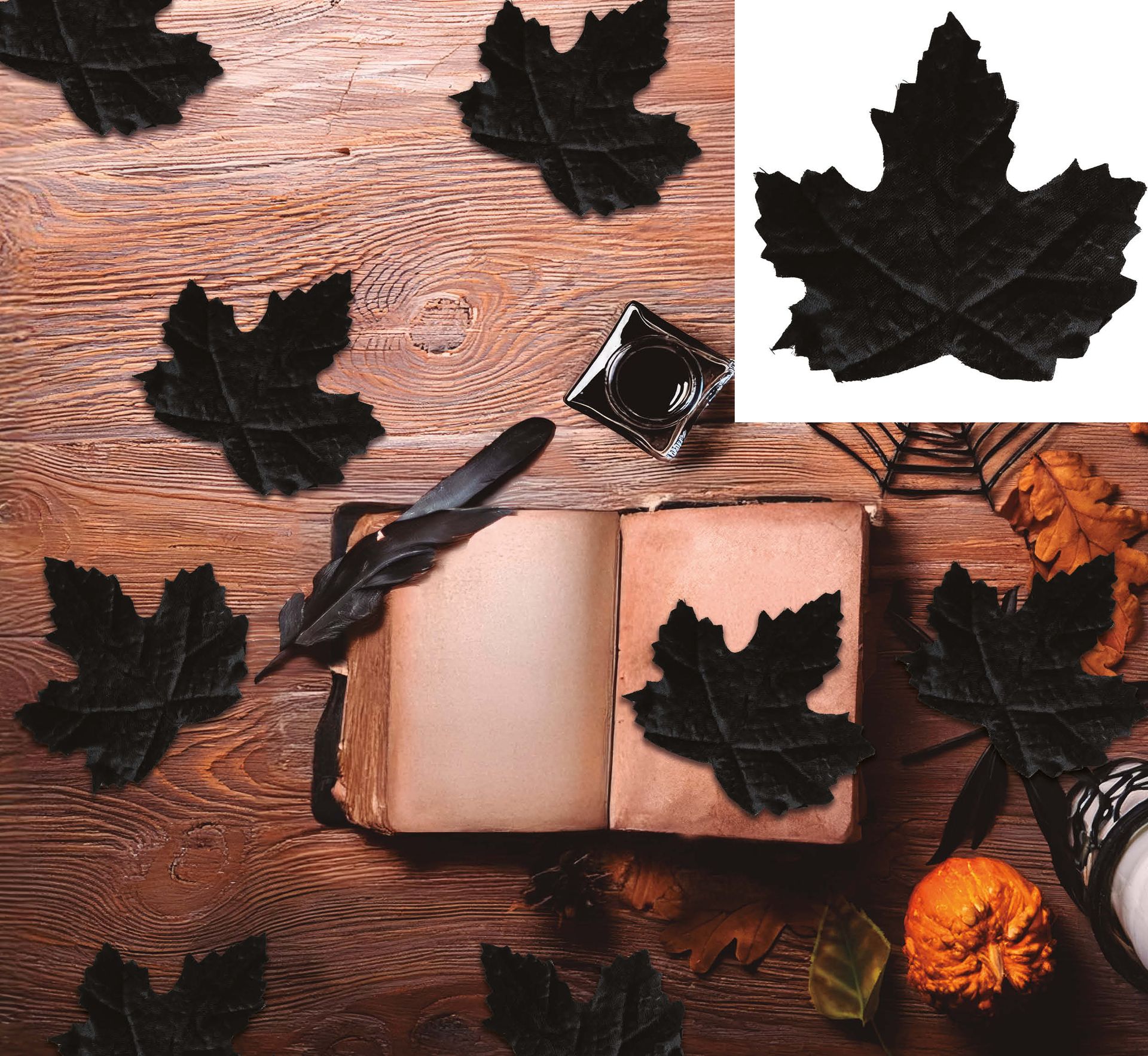 Zwarte Herfstbladeren Decoratie Halloween