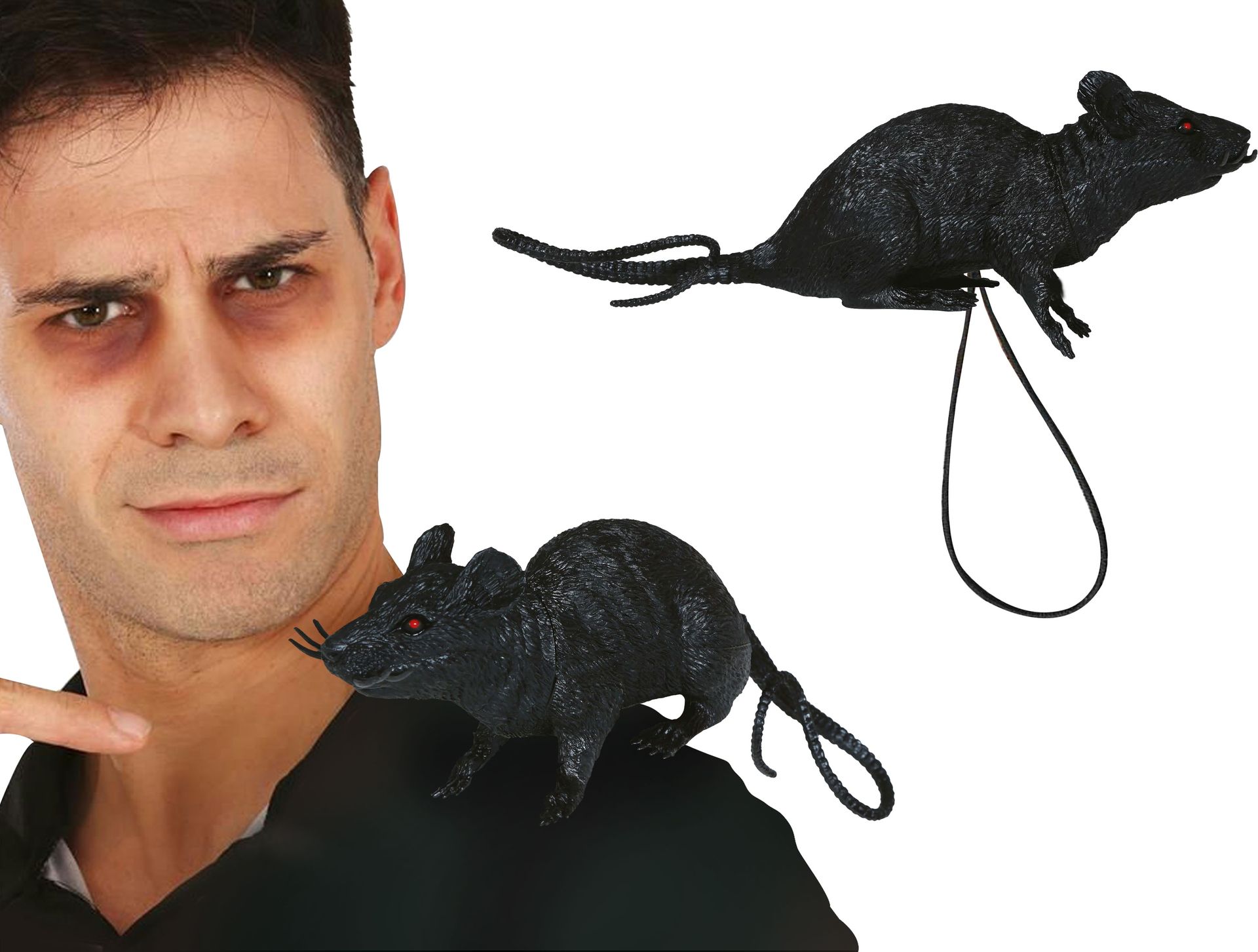Zwarte Schouter Rat met Elastiek