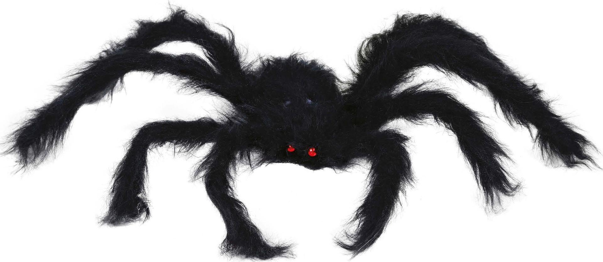 Zwarte spin 50 cm halloween