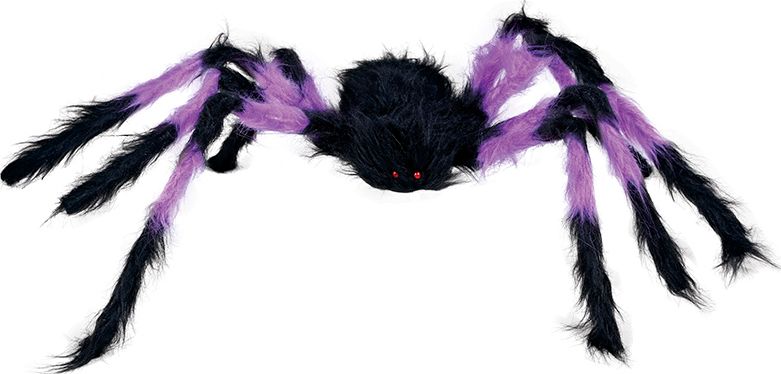 Zwart/paarse spin 75 cm halloween